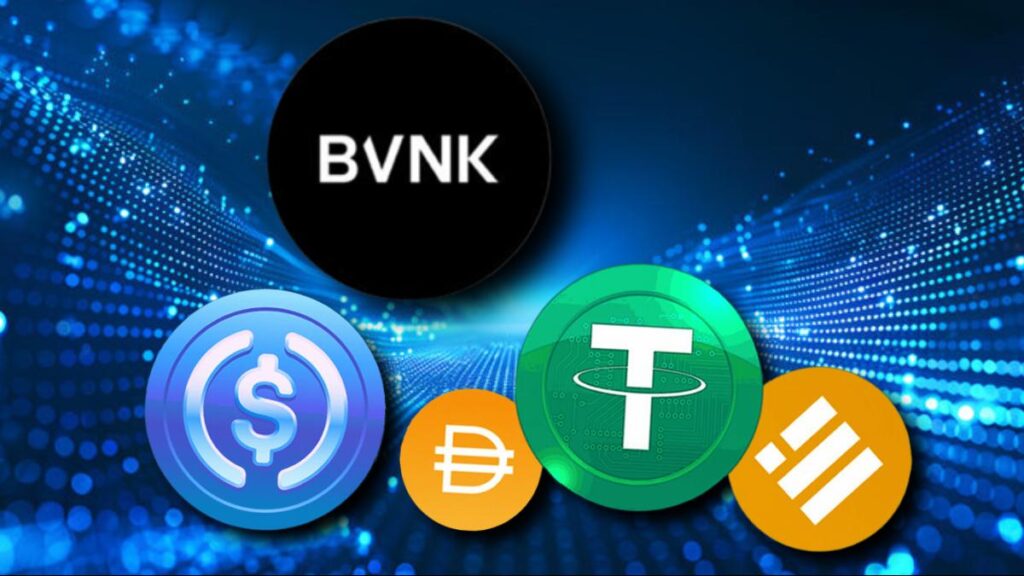 BVNK-Stablecoin - ChainIntel