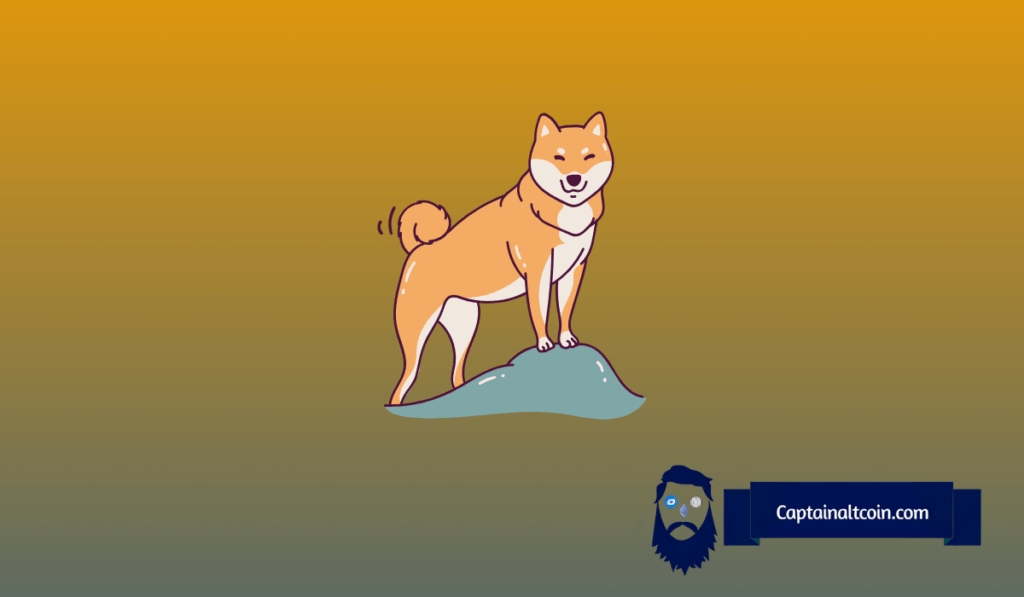 P2P-Review - ChainIntel